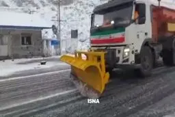 بارش زیبای برف در چالوس+ ویدئو