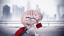 اتلاف مغزها  و  فرار  مغزها