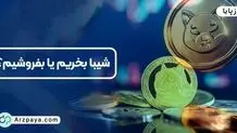 شیبا بخریم یا بفروشیم؟