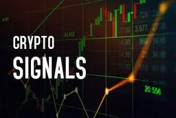ابزار آنلاین سیگنال ارز دیجیتال کریپتوهاپر معتبر است؟
