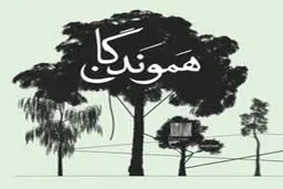 «سیاه» در نمایشگاه «هموندگان»  در گالری ریشه

