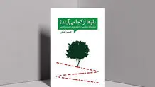 نام‌ها از کجا می‌آیند

