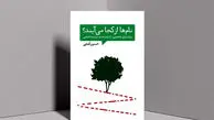 نام‌ها از کجا می‌آیند

