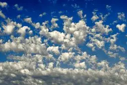 رنگ سال ۲۰۲۶ اعلام شد + تصاویر