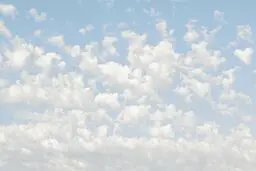 رنگ سال ۲۰۲۶ اعلام شد + تصاویر