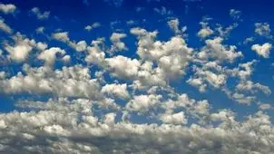 رنگ سال ۲۰۲۶ اعلام شد + تصاویر