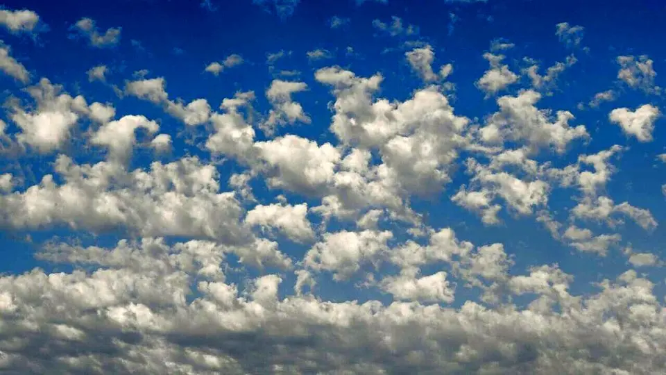 رنگ سال ۲۰۲۶ اعلام شد + تصاویر