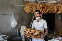  صادرات نان آزاد شد

