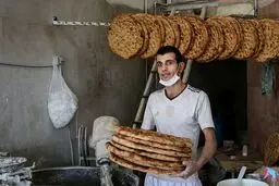  صادرات نان آزاد شد

