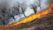 تیراندازی در جیرفت / ۵ نفر دستگیر شدند