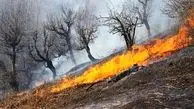 اتش سوزی گسترده در جیرفت  