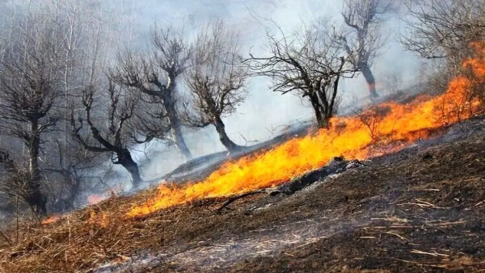 اتش سوزی گسترده در جیرفت