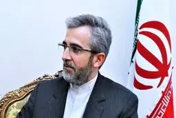 دیدار علی باقری با اعضای تروئیکای اروپایی در نیویورک/ عکس