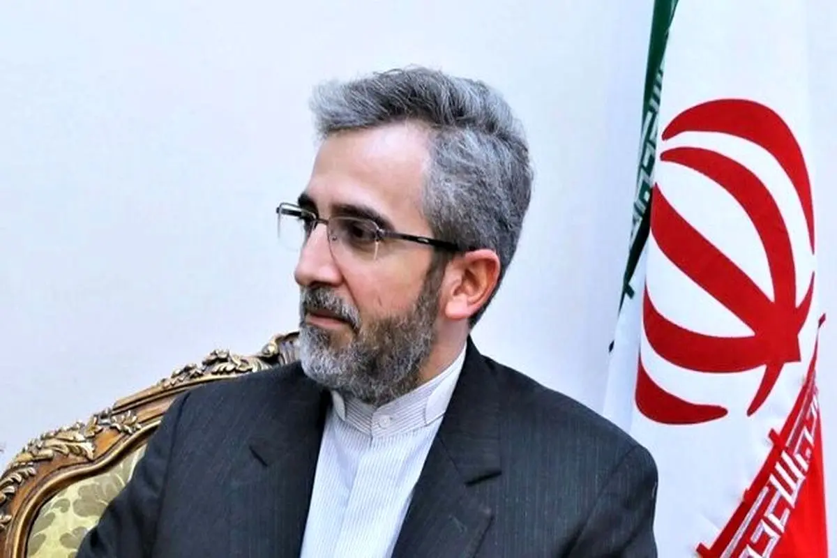 دیدار علی باقری با اعضای تروئیکای اروپایی در نیویورک/ عکس