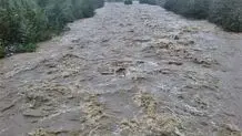 بارش باران و طغیان رودخانه «پوسمن» در بشاگرد هرمزگان + فیلم