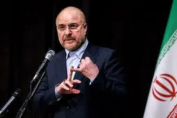 رئیس مجلس: بخش دولتی با ۶ درصد سهام حق مدیریت خودروسازها را ندارد