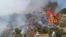 96 هکتار از مراتع بوتان در آتش سوخت