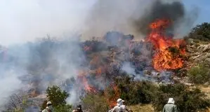 آتش‌سوزی گسترده در زنجان ادامه دارد 