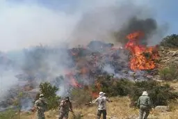 آتش سوزی در جنگل ابر