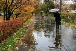 سخنگوی صنعت آب می‌گوید بارش ها در برخی استان‌ها حتی کمتر از ۵۰ درصد از حد نرمال است

