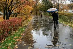 سخنگوی صنعت آب می‌گوید بارش ها در برخی استان‌ها حتی کمتر از ۵۰ درصد از حد نرمال است

