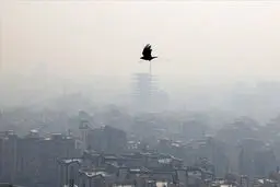 مرگ ۴۰ هزار ایرانی با آلودگی هوا