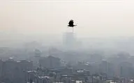 مرگ ۴۰ هزار ایرانی با آلودگی هوا