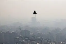 مرگ ۴۰ هزار ایرانی با آلودگی هوا