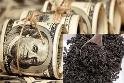 اختلاس؛ رکورد پشت رکورد

