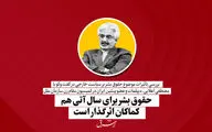 حقوق بشر برای سال آتی هم  کماکان اثرگذار است | مصطفی علایی