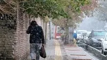 بارش شدید برف و تگرگ تهرانی‌ها را غافل‌گیر کرد/ ویدئو