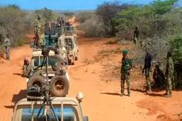 49 al-Shabaab terrorists killed in Somali Army operation
