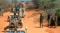 49 al-Shabaab terrorists killed in Somali Army operation