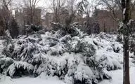 خبر مهم از تعطیلی مدارس سیستان و بلوچستان فردا چهارشنبه ۳ بهمن 