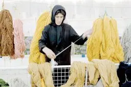 گره کور بر دار ِمعیشت