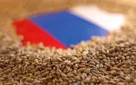 کرملین: روسیه توافق غلات با اوکراین را به حالت تعلیق درآورد