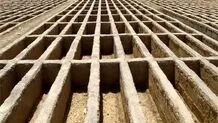 هیچکس جز اتباع حاضر به حفر قبر نیست