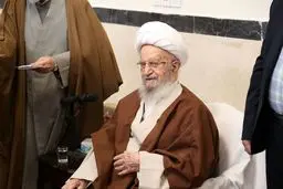 شایعات درباره بیماری آیت‌الله مکارم شیرازی کذب محض است

