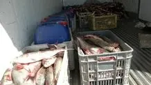 ۵ تن ماهی قاچاق در بندر لنگه توقیف شد