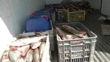 ۵ تن ماهی قاچاق در بندر لنگه توقیف شد