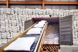 واردات شکر از هفته آینده مجاز می‌شود