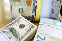 اعتقال 31 مضاربا بالتعاملات الآجلة للعملات والذهب في ایران