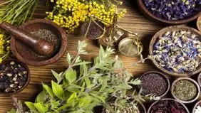 درمان طبیعی دل‌درد؛ ۳ گیاه معجزه‌گر برای آرام‌ کردن معده