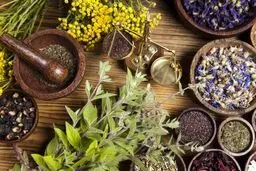 درمان طبیعی دل‌درد؛ ۳ گیاه معجزه‌گر برای آرام‌ کردن معده