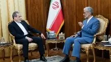 دیدار برخی سفرای ایران با عراقچی