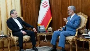 دیدار برخی سفرای ایران با عراقچی