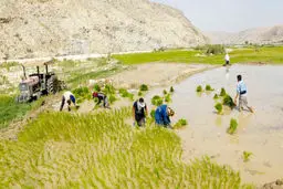 جنگ با آب