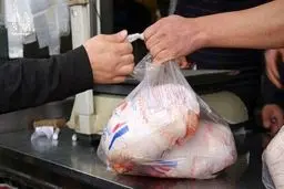 قیمت انواع مرغ امروز دوشنبه ۸ اردیبهشت ۱۴۰۴
