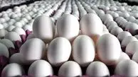 تخم‌ مرغ گران شد؟