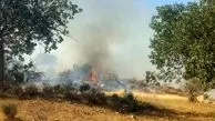 جنگلهای کوهمره فارس دچار آتش‌سوزی گسترده شد 